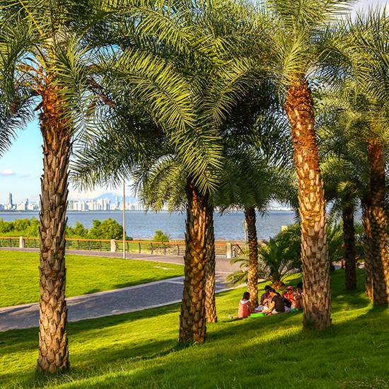 深圳灣公園綜合管理服務(wù)項目