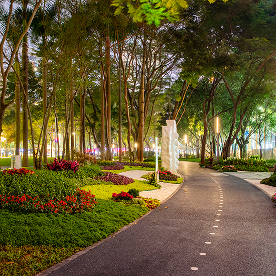 文心公園提升改造