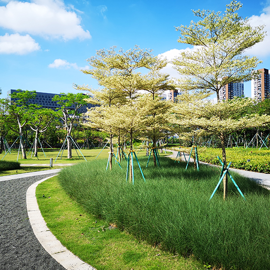 深圳地鐵前海車輛段上蓋物業(yè)項目 8、9 號地塊園林景觀工程