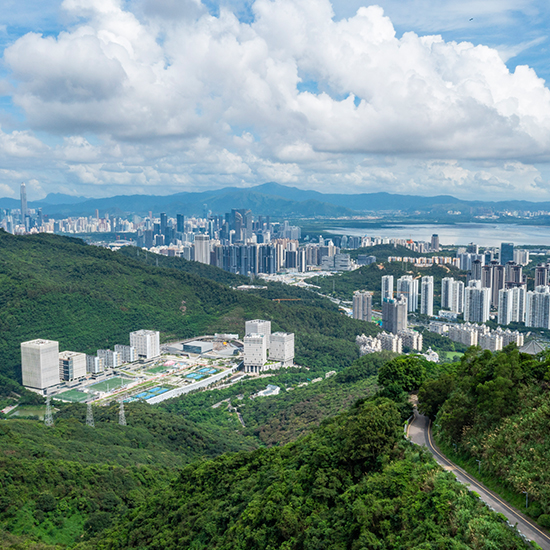 塘朗山公園綜合管理服務(wù)項目