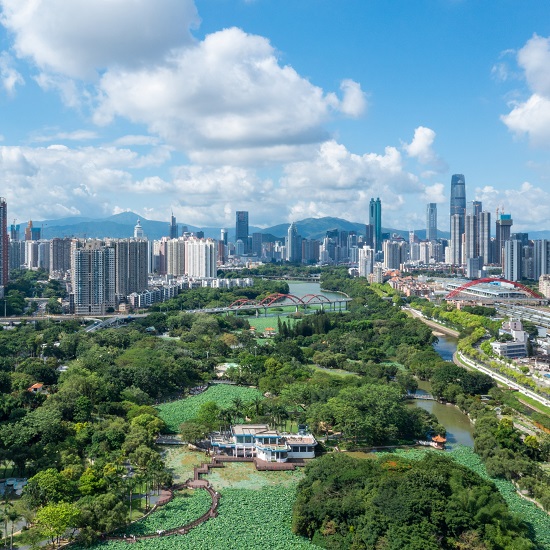 洪湖-翠竹-紅崗公園2025年綜合管理服務(wù)項目